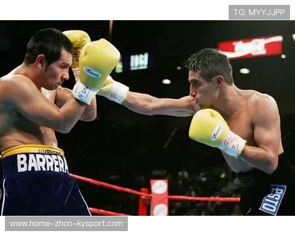 墨西哥拳手身体击打连贯无比