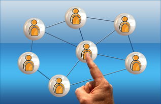 开云电竞官网-高校电竞联赛冠军诞生 战术与团队缺一不可，高校电竞联盟挑战赛全国总决赛